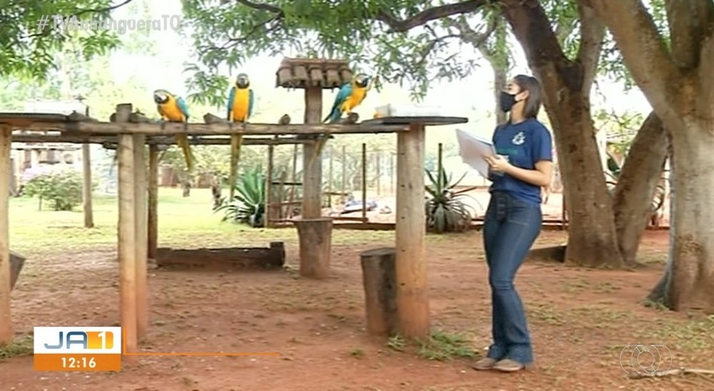 Estudante de Araguaína é selecionada para treinamento mundial sobre sustentabilidade