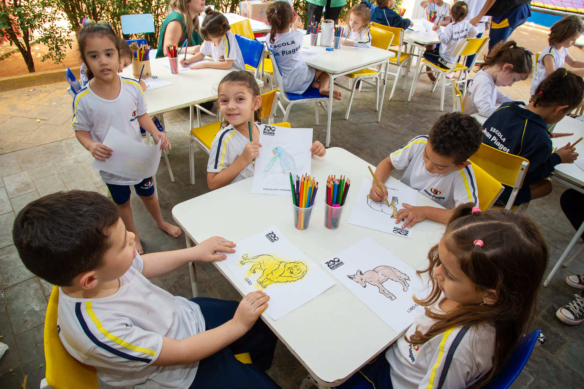 Óleo do Bem lança jogo de tabuleiro para ser aplicado em sala de aula -  Óleo do bem