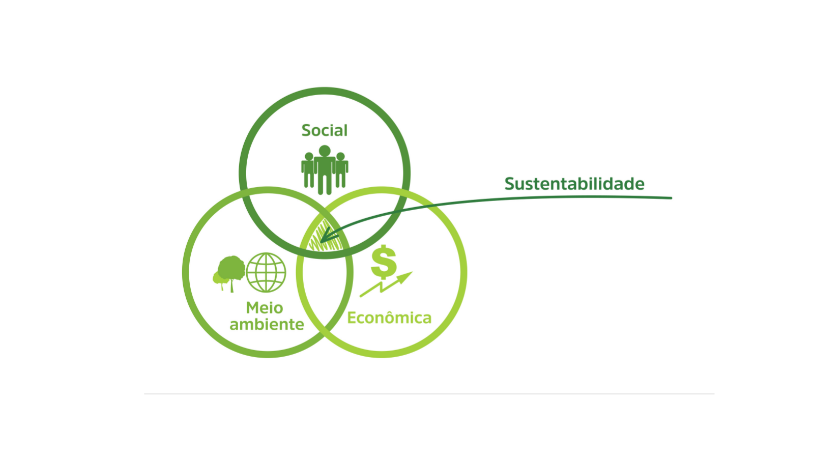 "Tripé da Sustentabilidade: entenda o que são e como eles são importantes para uma empresa mais responsável"